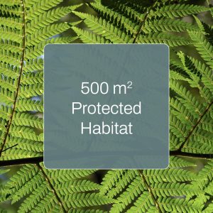 Home for Habitat - 500 m<sup>2</sup>